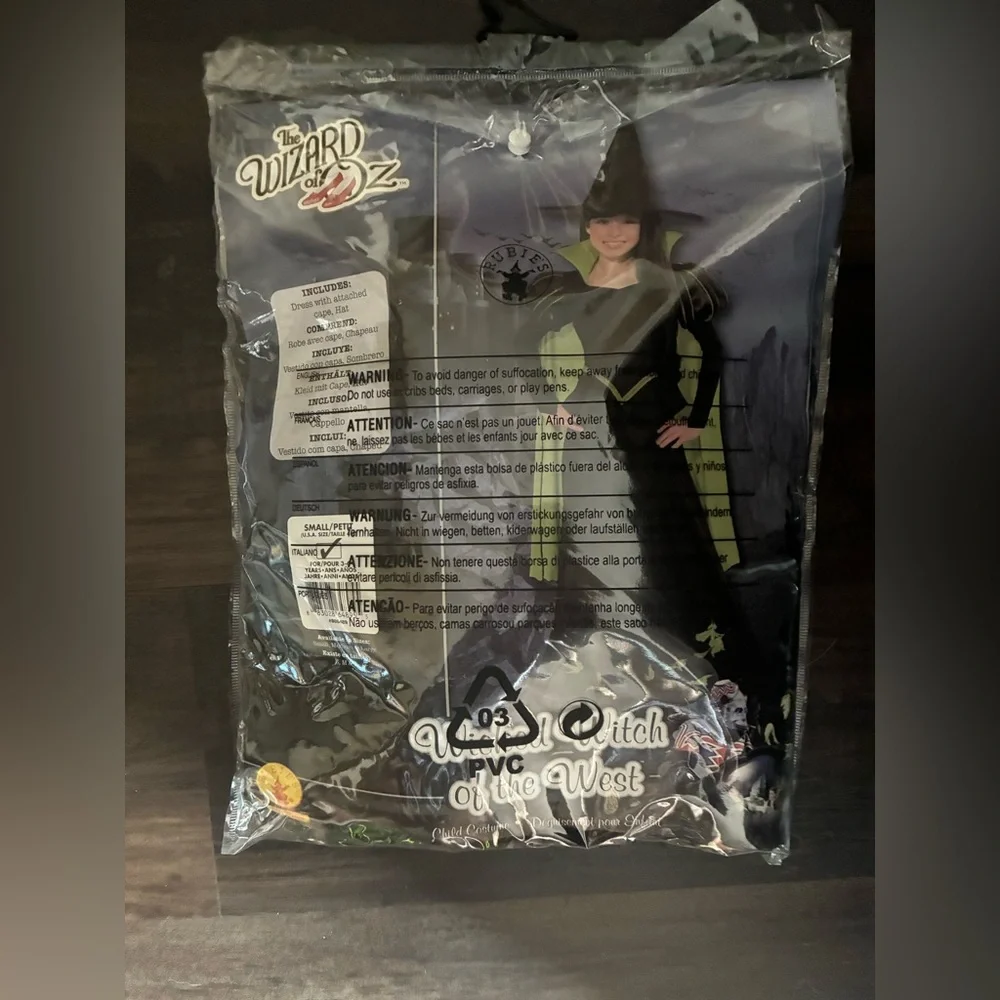 Wicked Witch Costume